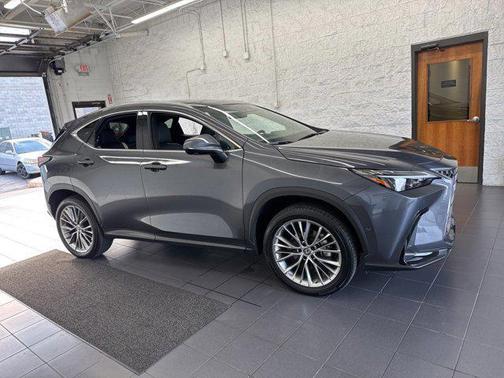 2022 Lexus NX 350h Luxury