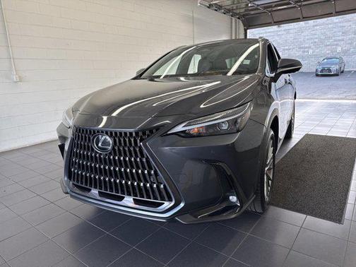 2022 Lexus NX 350h Luxury