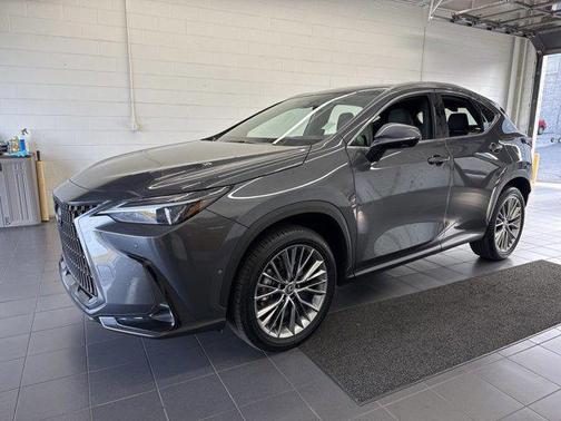 2022 Lexus NX 350h Luxury