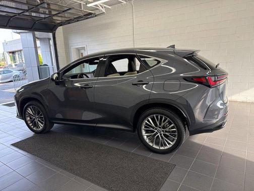 2022 Lexus NX 350h Luxury