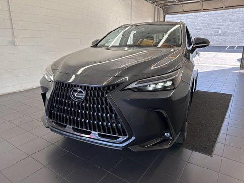 Cloudburst Gray 2026 Lexus NX 450h+ Luxury