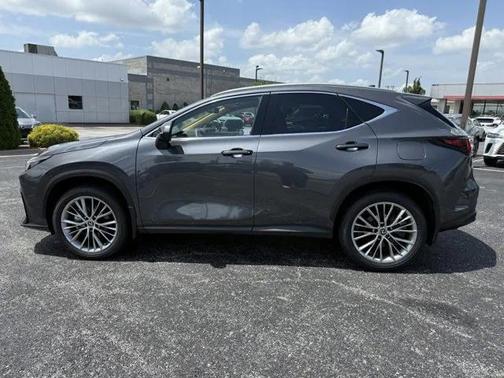 2025 Lexus NX 350h Premium