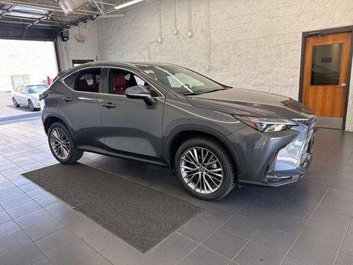 Cloudburst Gray 2022 Lexus NX 350h Premium