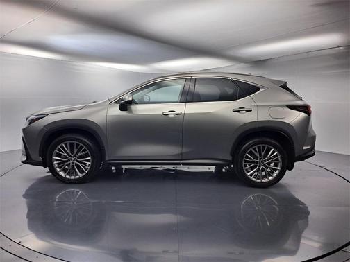 2022 Lexus NX 350h Premium