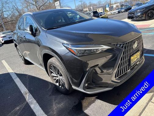 2024 Lexus NX 250 Base
