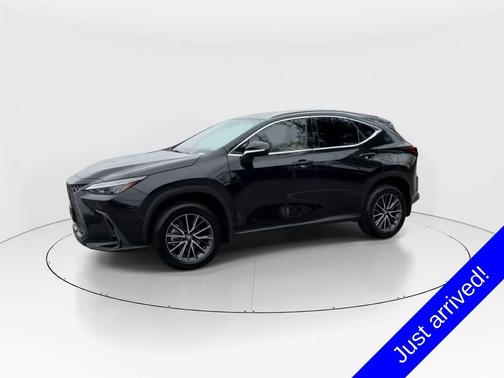 2024 Lexus NX 250 Base