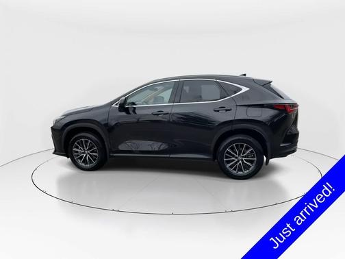 2024 Lexus NX 250 Base