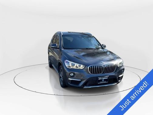 Mineral Grey Metallic 2019 BMW X1 xDrive28i