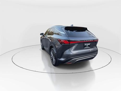 Cloudburst Gray 2024 Lexus RX 350 Luxury