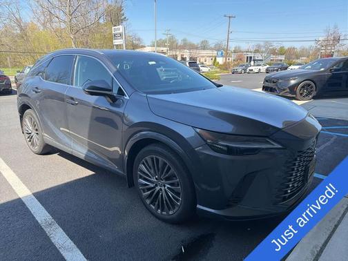 Cloudburst Gray 2024 Lexus RX 350 Luxury