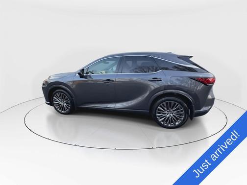 Cloudburst Gray 2024 Lexus RX 350 Luxury