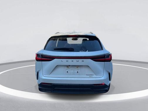 2023 Lexus NX 250 Base