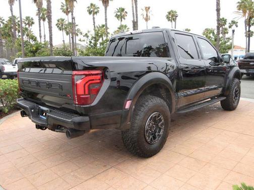 Agate Black Metallic 2024 Ford F-150 Raptor