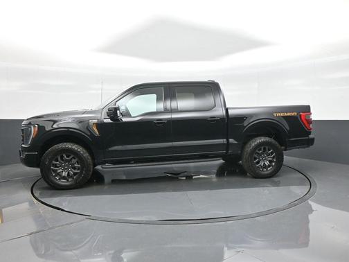 Agate Black Metallic 2023 Ford F-150 Tremor