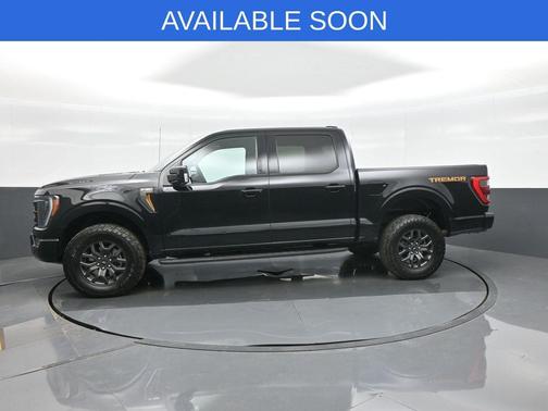 Agate Black Metallic 2023 Ford F-150 Tremor
