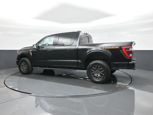 Agate Black Metallic 2023 Ford F-150 Tremor