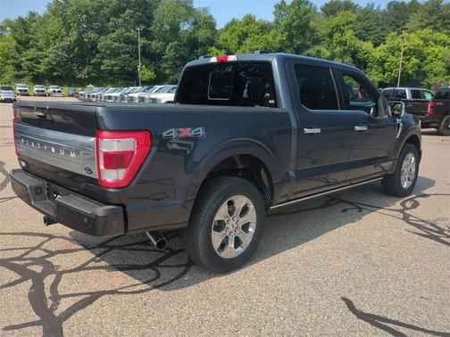 2021 Ford F-150 Platinum