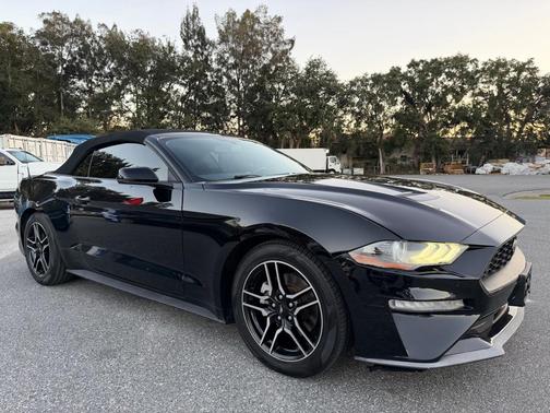 2019 Ford Mustang EcoBoost