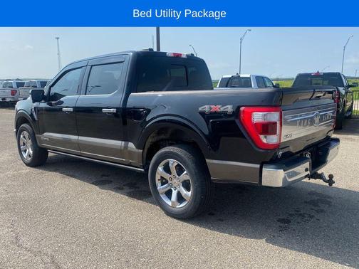 Agate Black Metallic 2022 Ford F-150 King Ranch