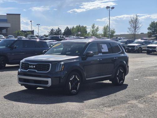 Panthera Metal 2025 Kia Telluride S