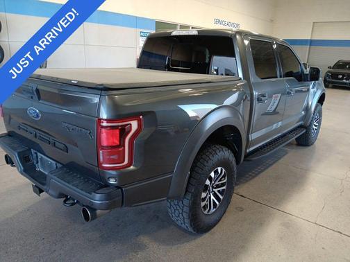 Magnetic Metallic 2019 Ford F-150 Raptor