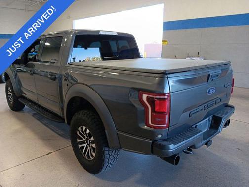 Magnetic Metallic 2019 Ford F-150 Raptor