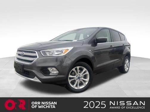 Magnetic 2019 Ford Escape SE