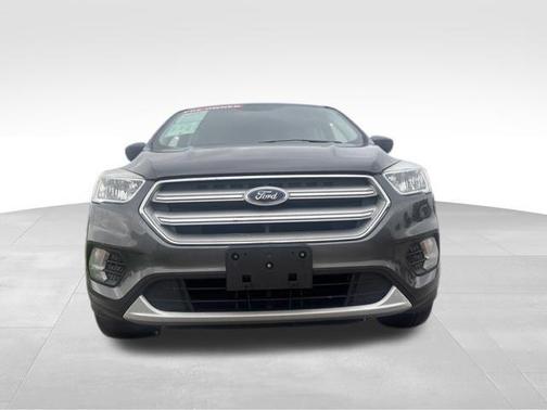 Magnetic 2019 Ford Escape SE