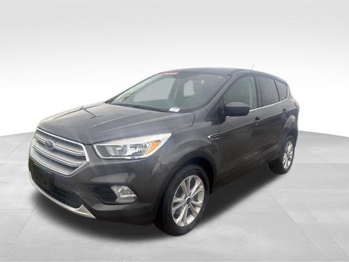 Magnetic 2019 Ford Escape SE