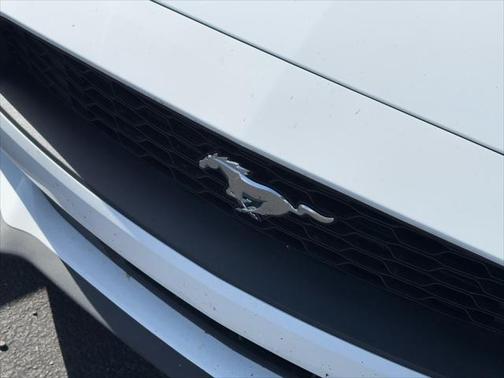 2022 Ford Mustang EcoBoost
