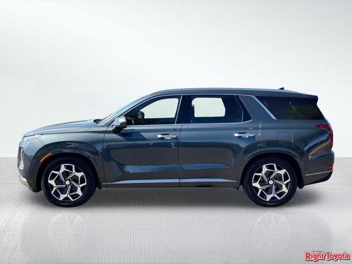 Rainforest 2022 Hyundai PALISADE Calligraphy