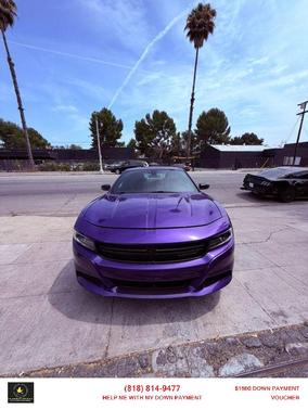 Purple 2023 Dodge Charger SXT