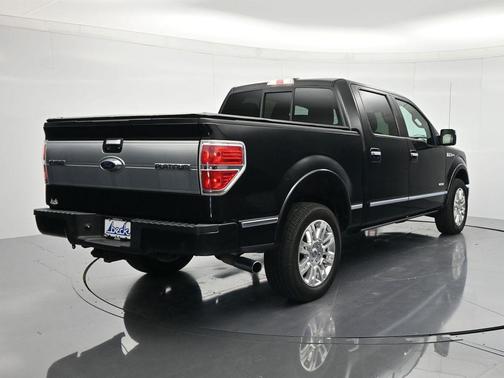 Tuxedo Black Metallic 2013 Ford F-150 Platinum