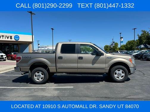 Pale Adobe Metallic 2014 Ford F-150 XLT
