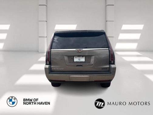 2019 Cadillac Escalade ESV Luxury