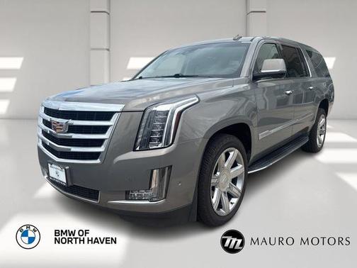 2019 Cadillac Escalade ESV Luxury