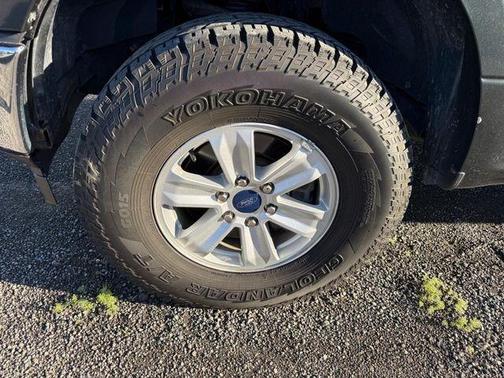 Guard Metallic 2018 Ford F-150 XLT