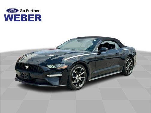 Shadow Black 2019 Ford Mustang EcoBoost Premium