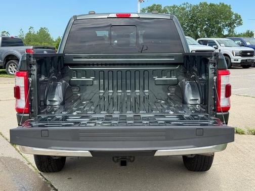 Guard Metallic 2021 Ford F-150 Lariat