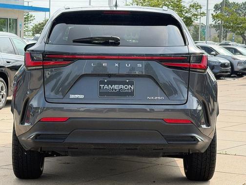 Cloudburst Gray 2024 Lexus NX 250 Base