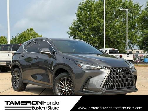 Cloudburst Gray 2024 Lexus NX 250 Base