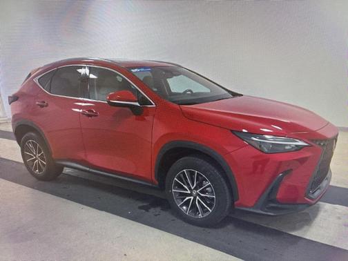 2024 Lexus NX 250 Premium