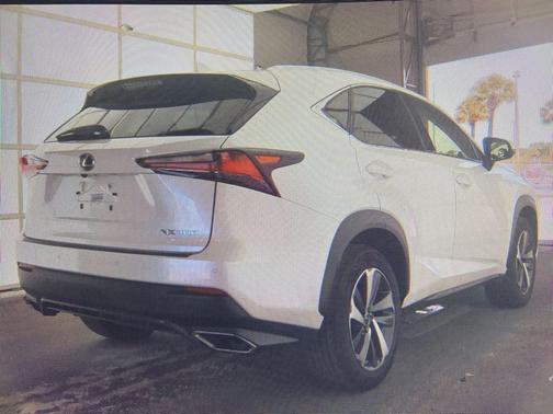 Eminent White Pearl 2020 Lexus NX 300 Base