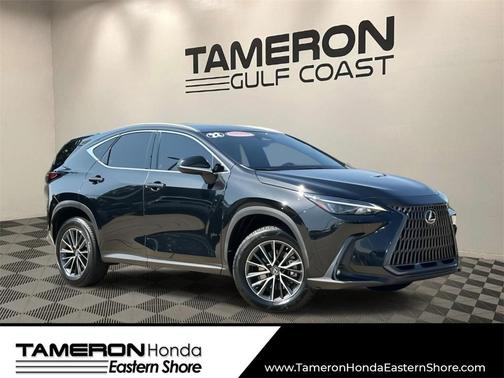 2022 Lexus NX 250 Base