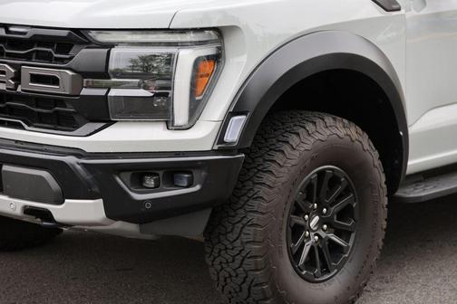 Avalanche 2024 Ford F-150 Raptor