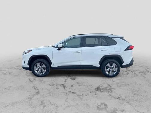 Ice 2025 Toyota RAV4 XLE