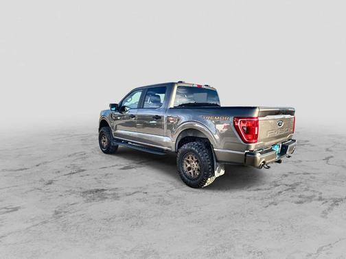 2021 Ford F-150 Tremor