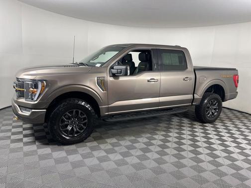 STONE GRAY METALLIC 2023 Ford F-150 Tremor
