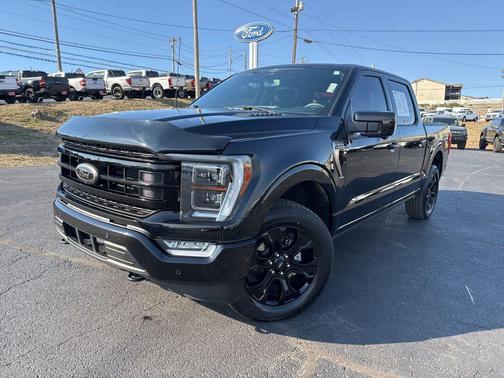 2023 Ford F-150 Platinum