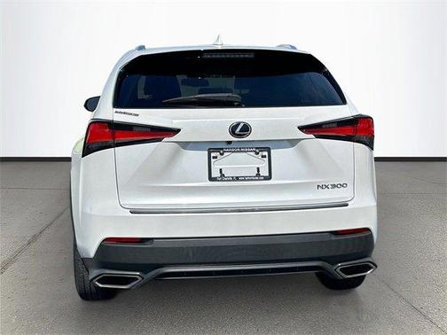 2020 Lexus NX 300 NX 300